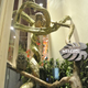 Image for article titled Who Thinks Japan's Owl Cafes Are a Hoot?